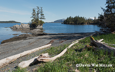 Outer Picturesque Cove